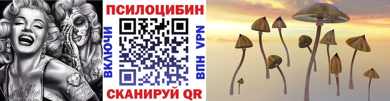 Галлюциногенные грибы GOLDEN TEACHER  Ногинск 